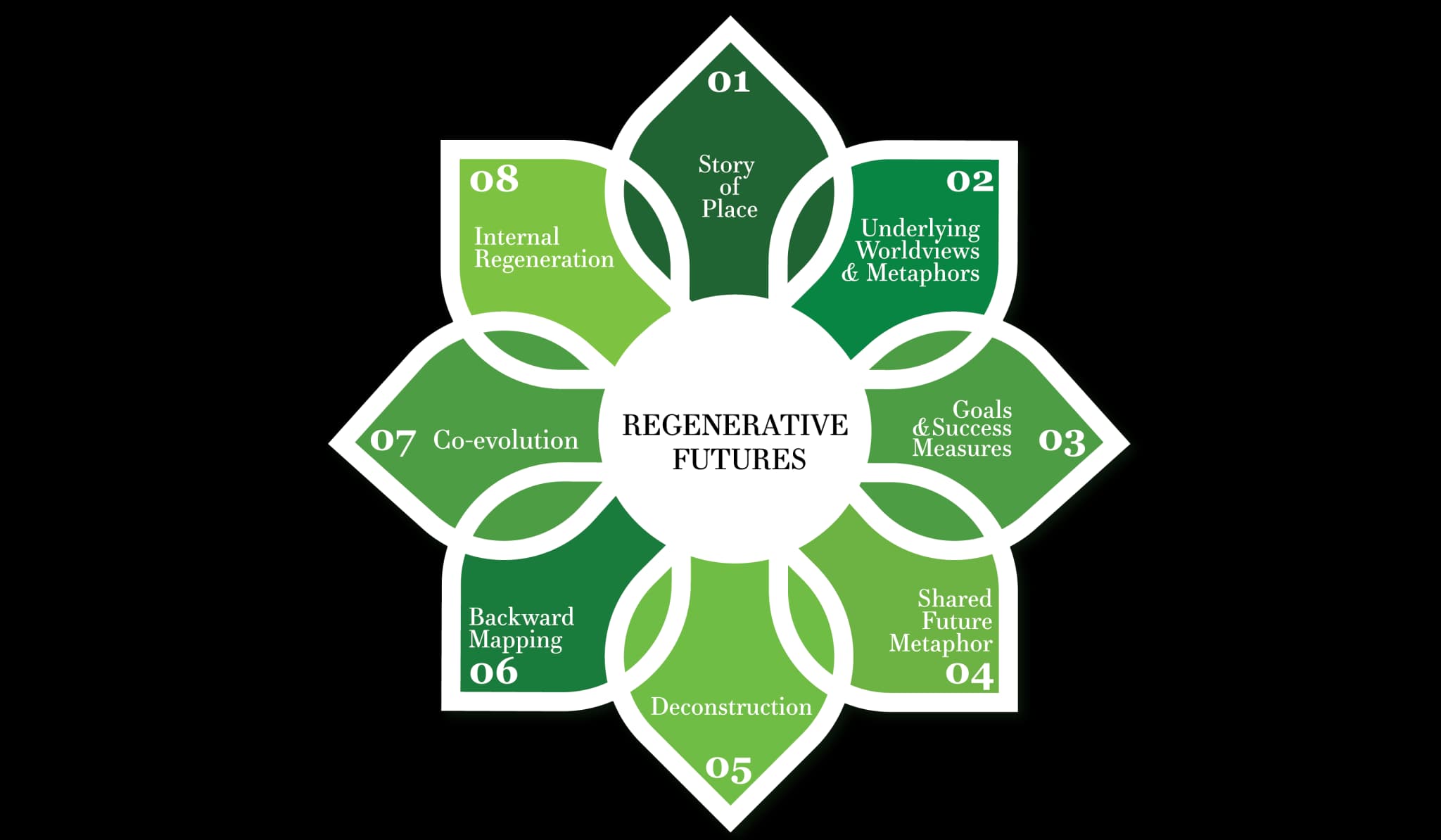 Building a Regenerative Future